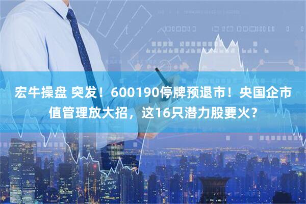 宏牛操盘 突发！600190停牌预退市！央国企市值管理放大招，这16只潜力股要火？