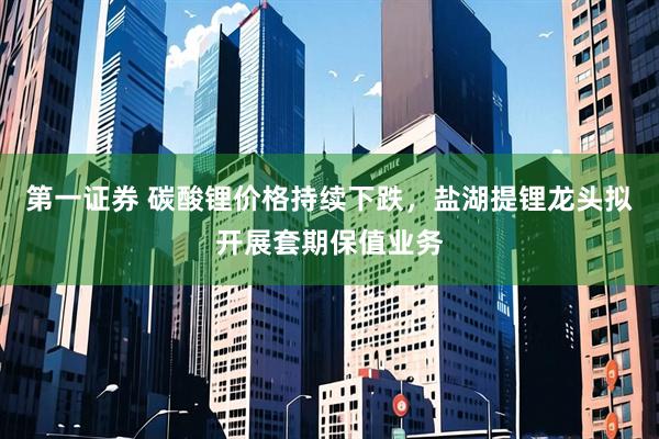 第一证券 碳酸锂价格持续下跌，盐湖提锂龙头拟开展套期保值业务