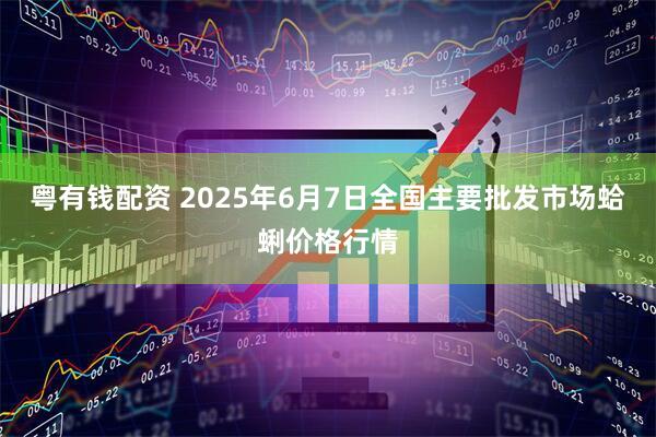 粤有钱配资 2025年6月7日全国主要批发市场蛤蜊价格行情