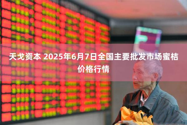 天戈资本 2025年6月7日全国主要批发市场蜜桔价格行情