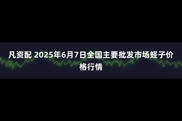 凡资配 2025年6月7日全国主要批发市场蛏子价格行情