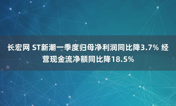 长宏网 ST新潮一季度归母净利润同比降3.7% 经营现金流净额同比降18.5%