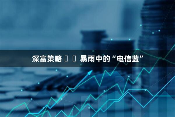 深富策略 ​​暴雨中的“电信蓝”