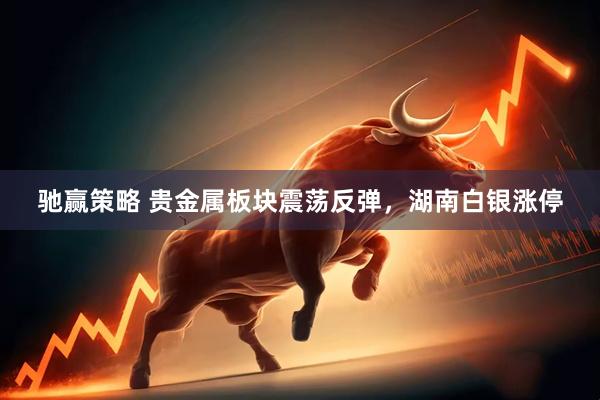 驰赢策略 贵金属板块震荡反弹，湖南白银涨停