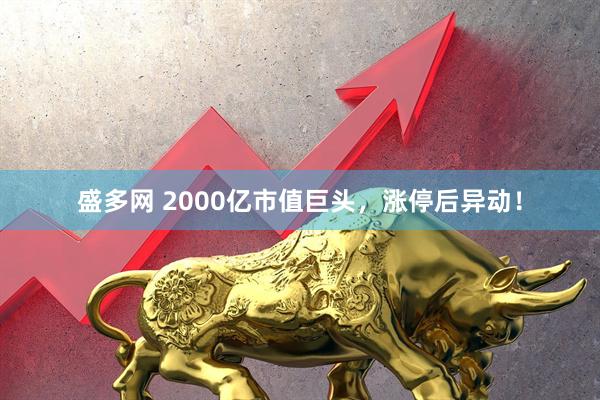 盛多网 2000亿市值巨头，涨停后异动！