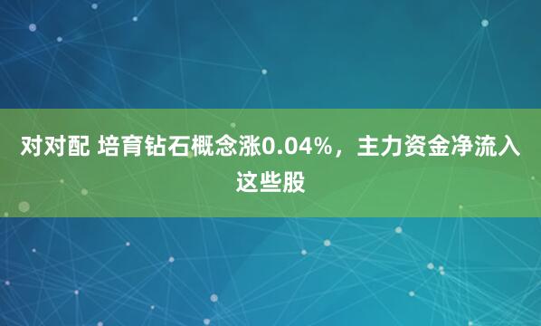 对对配 培育钻石概念涨0.04%，主力资金净流入这些股